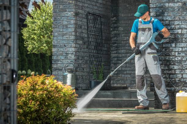 Best Gutter Cleaning  in Encinal, TX